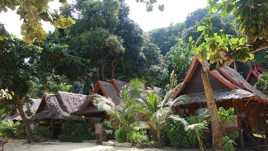 Starfish Internet Cafe